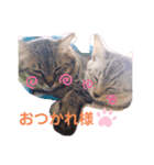 まりんとちび（個別スタンプ：6）