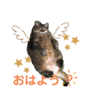 まりんとちび（個別スタンプ：8）