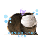 まりんとちび（個別スタンプ：11）