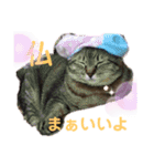 まりんとちび（個別スタンプ：12）