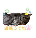 まりんとちび（個別スタンプ：13）