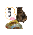 まりんとちび（個別スタンプ：15）