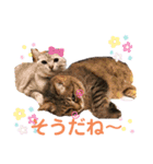まりんとちび（個別スタンプ：16）