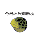 やましあスタンプ（個別スタンプ：13）