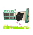 こんぶ＆ひじきエキゾチックショートヘア（個別スタンプ：21）