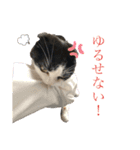 マルのスタンプ2（個別スタンプ：3）