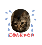 ミーシャ ♯1（個別スタンプ：2）