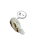 粘土顔 2020 1（個別スタンプ：6）