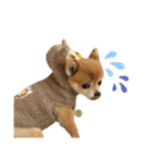 CYAMU3（個別スタンプ：1）