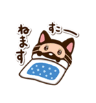 小さい黒猫スタンプ【簡単返信編】（個別スタンプ：40）