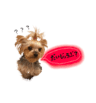 犬のむぎちゃん（個別スタンプ：8）