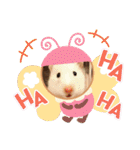 我が家のハムちゃん第2弾（個別スタンプ：11）