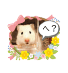 我が家のハムちゃん第2弾（個別スタンプ：17）