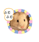 我が家のハムちゃん第2弾（個別スタンプ：22）