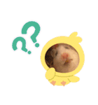 我が家のハムちゃん第2弾（個別スタンプ：26）