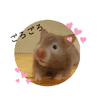 我が家のハムちゃん第2弾（個別スタンプ：39）