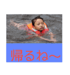 小島君3（個別スタンプ：33）