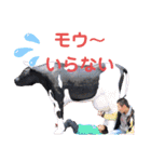 小島君3（個別スタンプ：38）