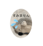 くまではないハリネズミくん（個別スタンプ：11）