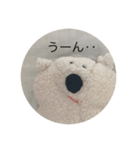 くまではないハリネズミくん（個別スタンプ：15）