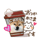 かわいい柴犬と豆柴2（個別スタンプ：1）