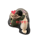 かわいい柴犬と豆柴2（個別スタンプ：11）