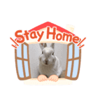 モフモフっちょ（個別スタンプ：6）