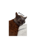 ねーこのおはぎ♪（個別スタンプ：7）