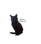 ねーこのおはぎ♪（個別スタンプ：8）