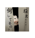 むすみくスタンプ☆1（個別スタンプ：6）