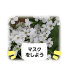 お花で遊ぼう7（個別スタンプ：6）