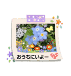 お花で遊ぼう7（個別スタンプ：7）