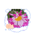 お花で遊ぼう7（個別スタンプ：8）