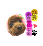 苺愛（べりーあ）ちゃん（個別スタンプ：1）