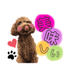 苺愛（べりーあ）ちゃん（個別スタンプ：2）