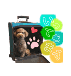 苺愛（べりーあ）ちゃん（個別スタンプ：3）