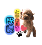 苺愛（べりーあ）ちゃん（個別スタンプ：4）