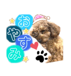 苺愛（べりーあ）ちゃん（個別スタンプ：6）