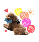 苺愛（べりーあ）ちゃん（個別スタンプ：7）