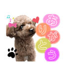苺愛（べりーあ）ちゃん（個別スタンプ：8）