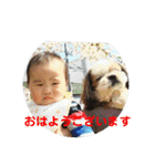 けんすけ2020（個別スタンプ：13）
