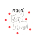 便利なかわいい猫の英語スタンプ（個別スタンプ：13）