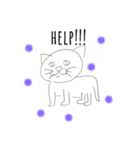 便利なかわいい猫の英語スタンプ（個別スタンプ：16）