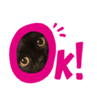 スイートキャット（個別スタンプ：3）