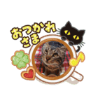 めるろぜあずなん♩（個別スタンプ：6）