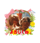 めるろぜあずなん♩（個別スタンプ：10）