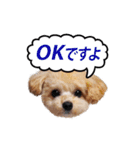 くるみのスーパースタンプ2（個別スタンプ：2）