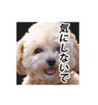 くるみのスーパースタンプ2（個別スタンプ：12）