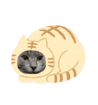 ゆずちゃんS''（個別スタンプ：32）