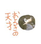 イヌネコ仲良しコンビ 第2弾（個別スタンプ：3）